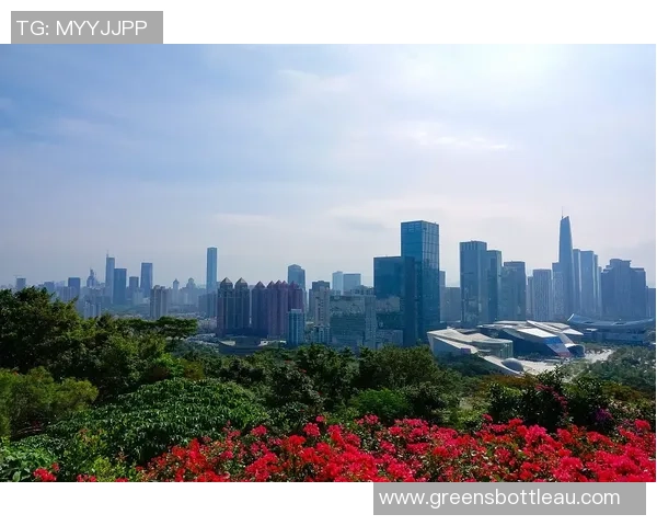 吴川足球星之梦：从小城崛起到世界舞台的青春追梦之路