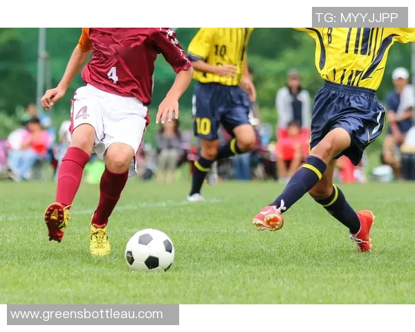 绿茵巨星闪耀赛场激情点燃球迷心中永恒的足球梦想